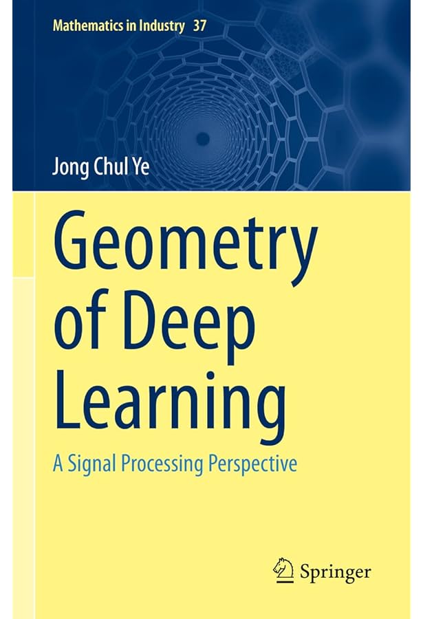 Information Geometry (Ergebnisse der Mathematik und ihrer